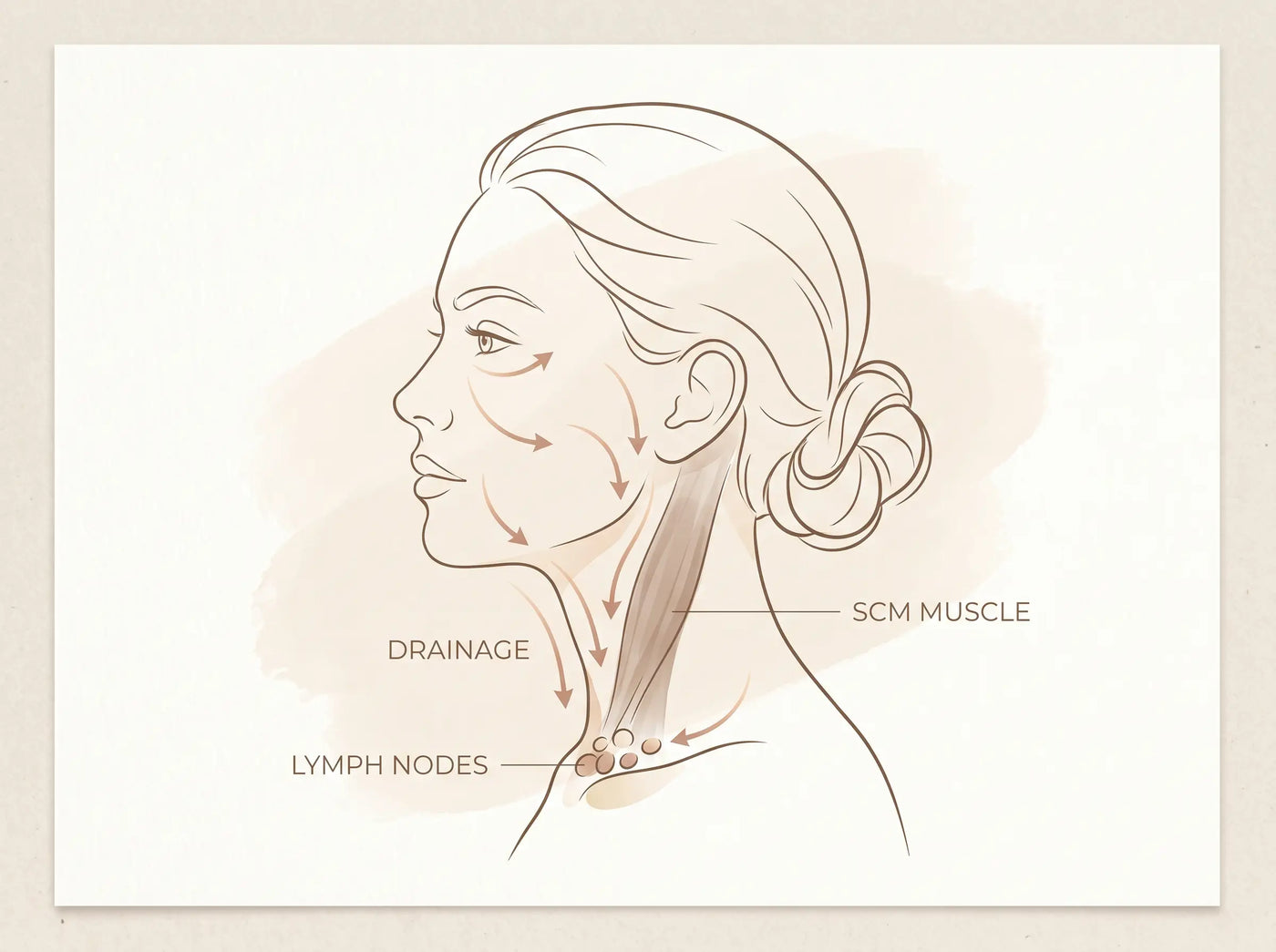 The long cord from behind your ear to your collarbone — hours of screen time live here.